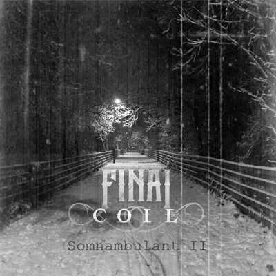 Feeding Frenzy 04||12||21 Final Coil