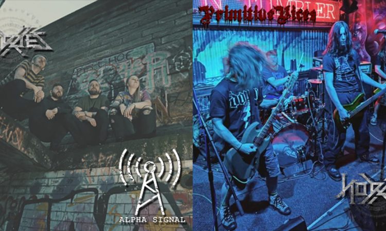 Alpha Signal - Primitive Vices: Hordes X 2022 interviews